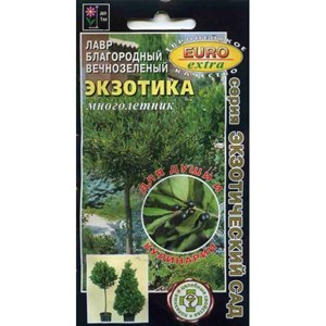 Лавр Экзотика вечнозеленый Лавр Экзотика вечнозеленый