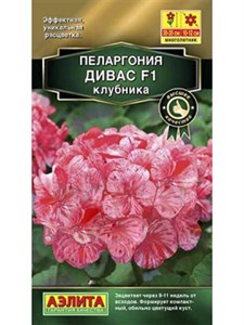 Пеларгония Дивас F1 клубника Пеларгония Дивас F1 клубника