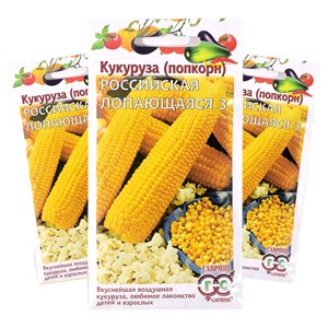 Кукуруза Российская лопающаяся Кукуруза Российская лопающаяся
