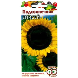 Подсолнечник Енисей 10г Подсолнечник Енисей 10г