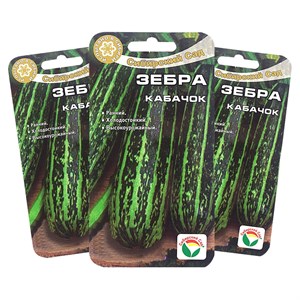 Кабачок Зебра Кабачок Зебра