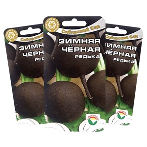 Редька Зимняя черная Редька Зимняя черная