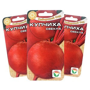 Свекла Купчиха Свекла Купчиха