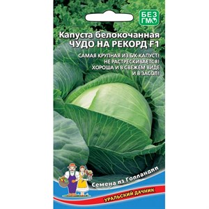 Капуста Б/К Чудо на рекорд F1 Капуста Б/К Чудо на рекорд F1