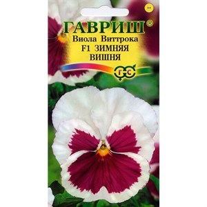 Виола Виттрока Зимняя Вишня 5шт Виола Виттрока Зимняя Вишня 5шт