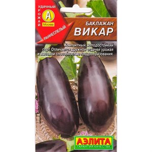 Баклажан Викар Баклажан Викар