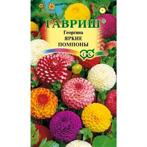 Георгина Яркие помпоны 0,2гр Георгина Яркие помпоны 0,2гр