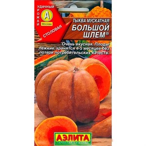 Тыква Большой шлем Тыква Большой шлем