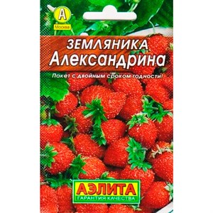 Земляника Александрина Лидер Земляника Александрина Лидер