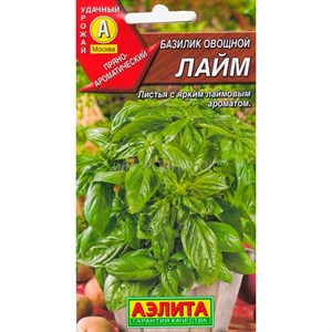 Базилик Лайм Базилик Лайм