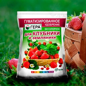 Удобрение Гера для Клубники 0,5кг (30) Удобрение Гера для Клубники 0,5кг (30)